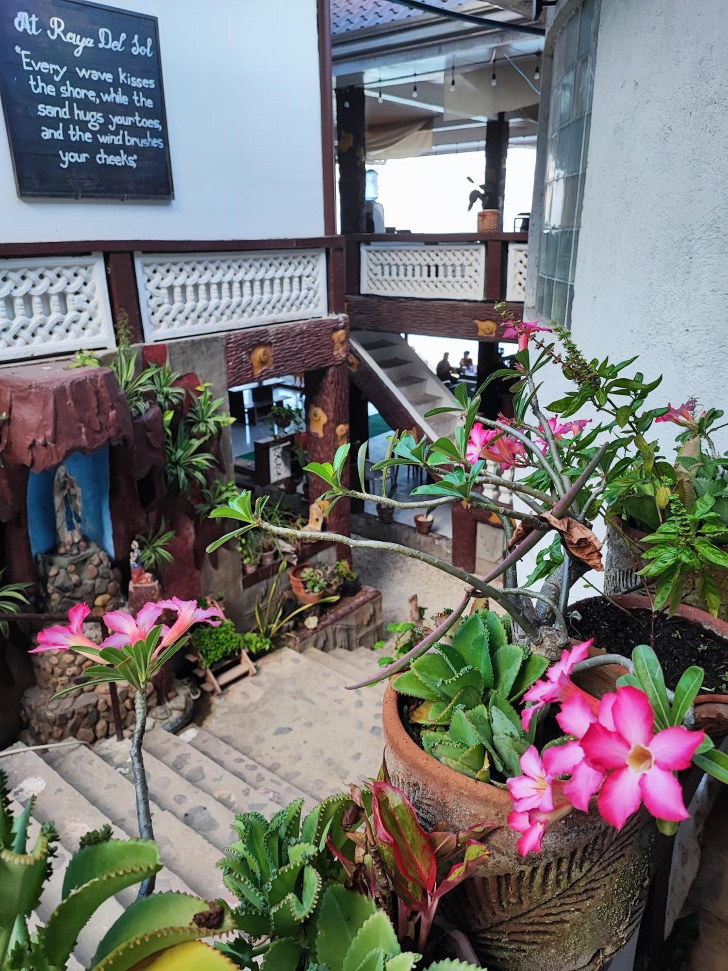 Raya Del Sol Dive Resort Mabini  Kültér fotó